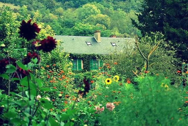 待到山花浪漫時(shí)，讓我們一起去賞花駐足吧！